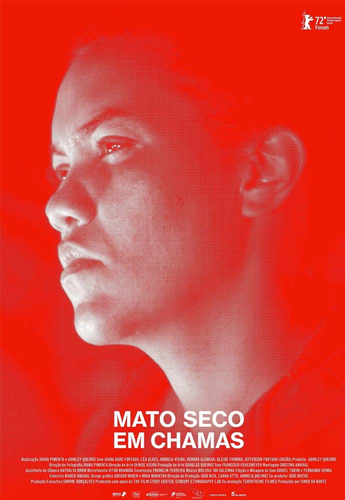 Poster do filme Mato Seco Em Chamas