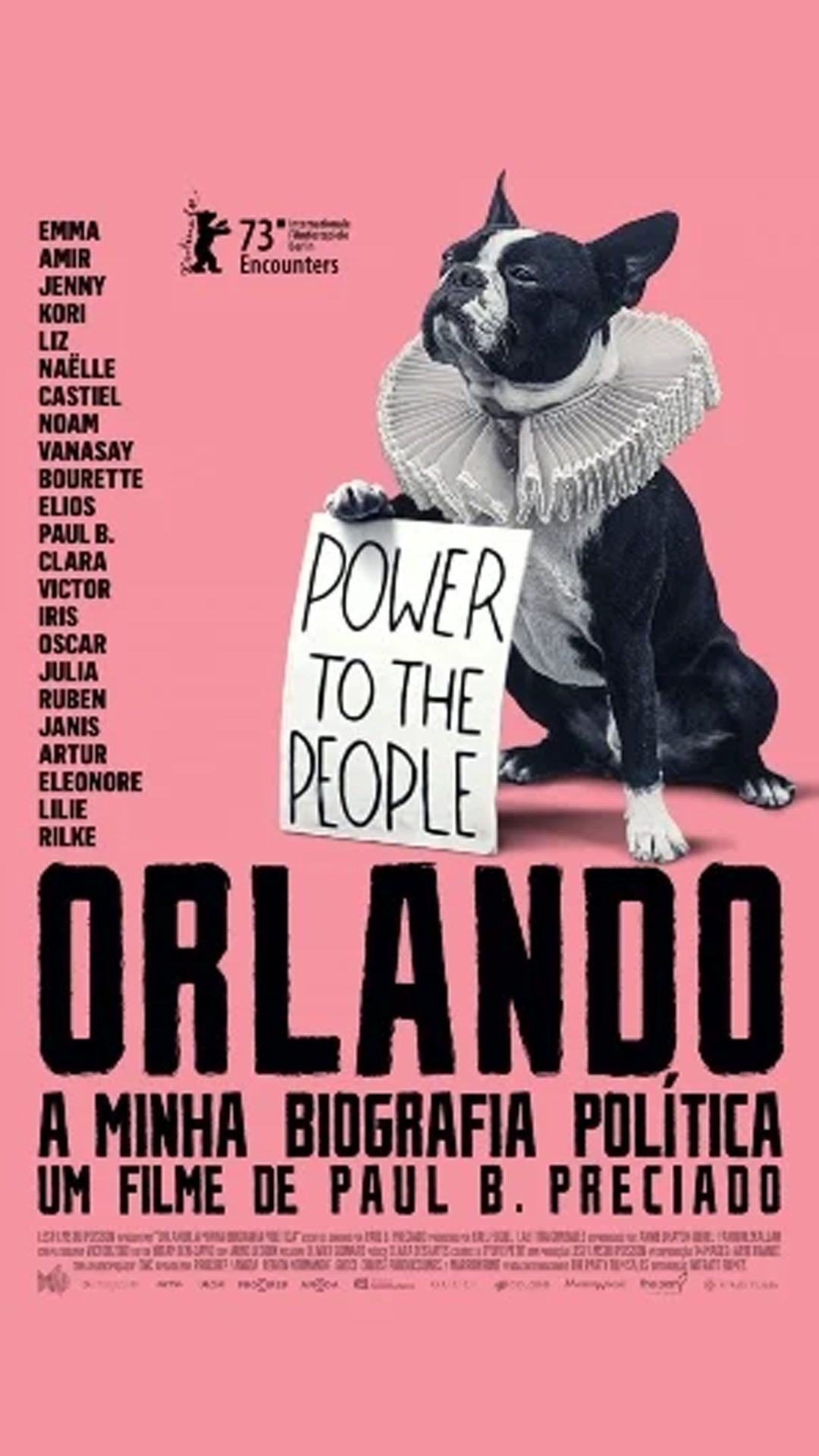 Poster do filme Orlando, Minha Biografia Política
