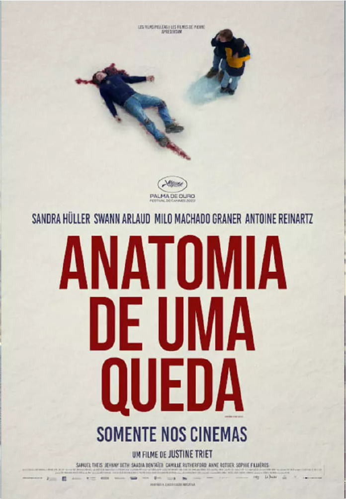 Poster do filme Anatomia De Uma Queda