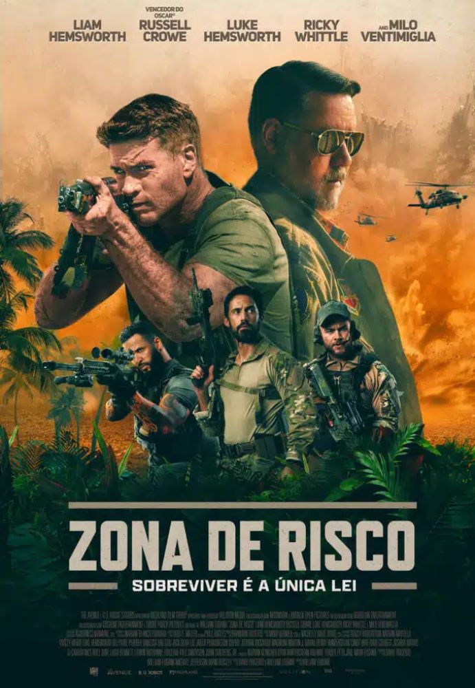 Poster do filme Zona De Risco