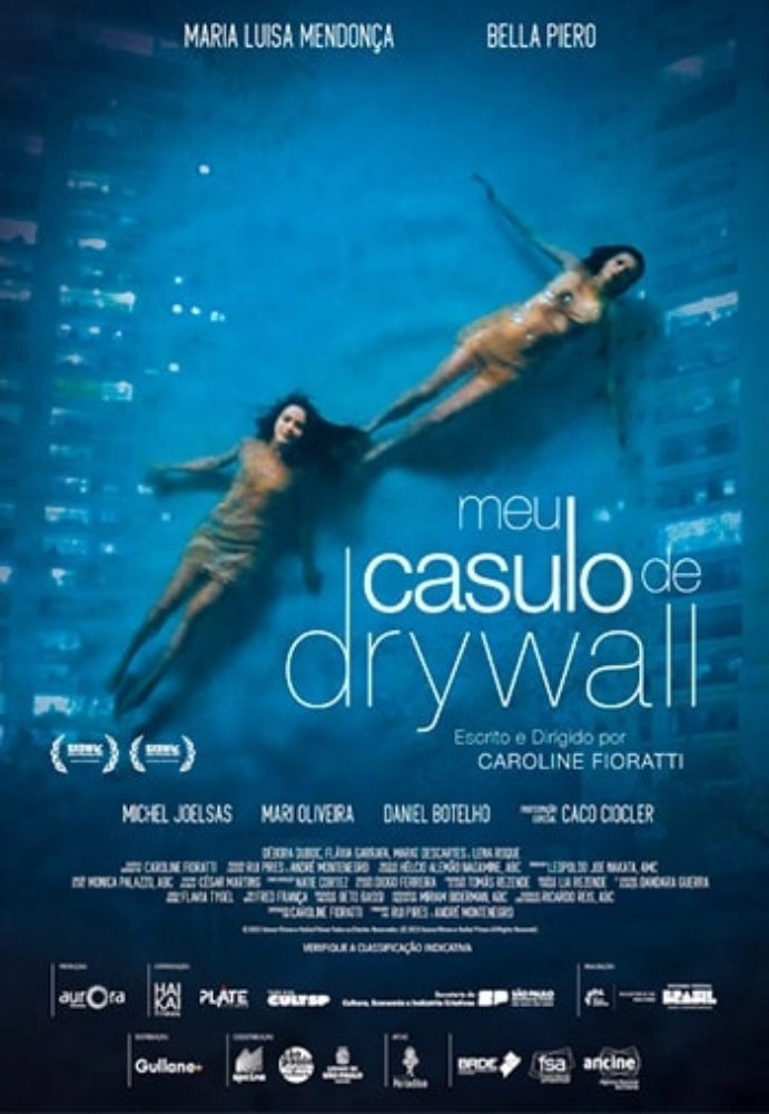 Poster do filme Meu Casulo De Drywall