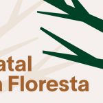 Natal na Floresta Casapark | Por José Marton