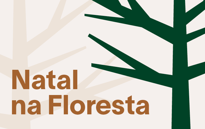 Natal na Floresta Casapark | Por José Marton